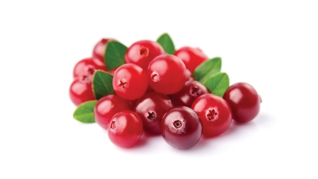Foster's-Fall-Fruits-Blog-Cranberries