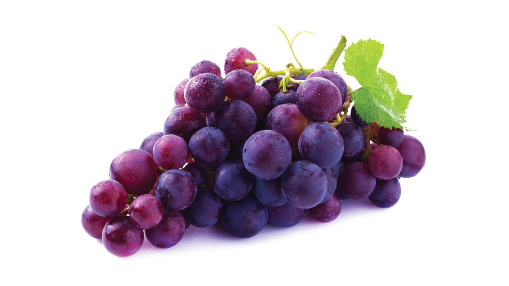 Foster's-Fall-Fruits-Blog-Grapes