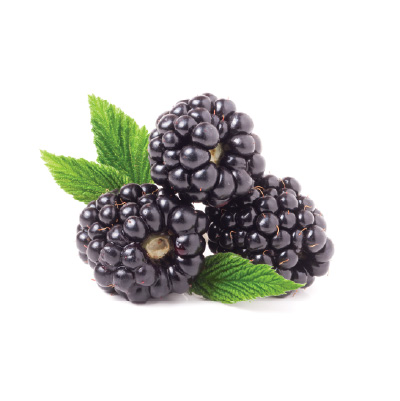 Blackberries or Rasberries image
