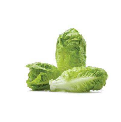 Lettuce Romaine Hearts image