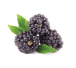 Blackberries or Rasberries image