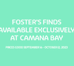 Foster's Finds image